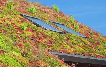 Rhos Lligwy living roof systems